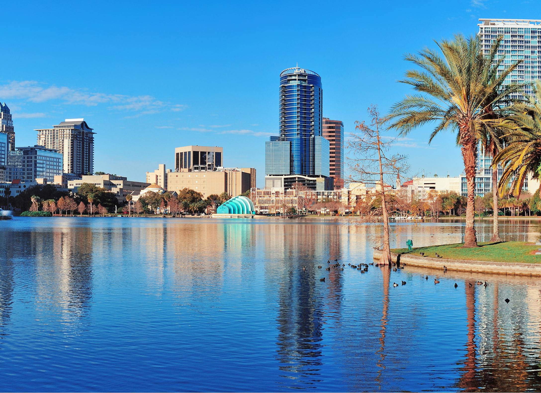 Cheap Car Rental . com